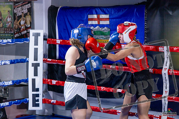 Cougar Boxing Basement Brawl. Dec 6 2025 -0089
