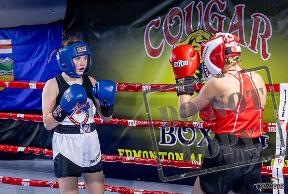 Cougar Boxing Basement Brawl. Dec 6 2025 -0093
