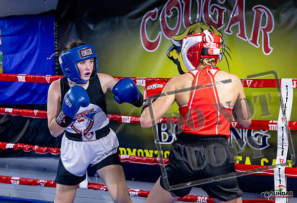 Cougar Boxing Basement Brawl. Dec 6 2025 -0094