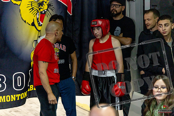 Cougar Boxing Basement Brawl. Dec 6 2025 -0127