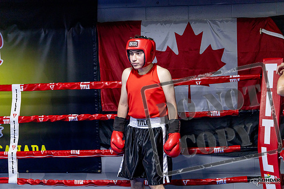 Cougar Boxing Basement Brawl. Dec 6 2025 -0130