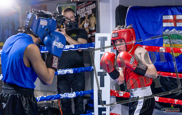 Cougar Boxing Basement Brawl. Dec 6 2025 -0142