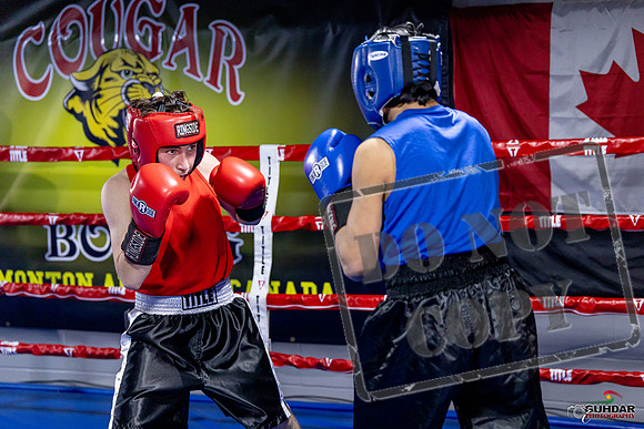 Cougar Boxing Basement Brawl. Dec 6 2025 -0151