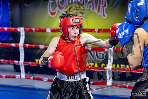 Cougar Boxing Basement Brawl. Dec 6 2025 -0152