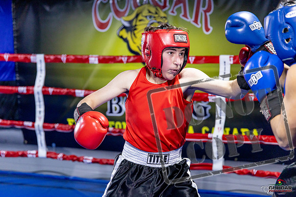 Cougar Boxing Basement Brawl. Dec 6 2025 -0153