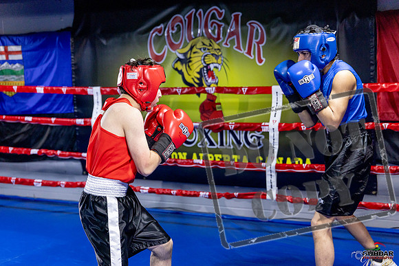 Cougar Boxing Basement Brawl. Dec 6 2025 -0156