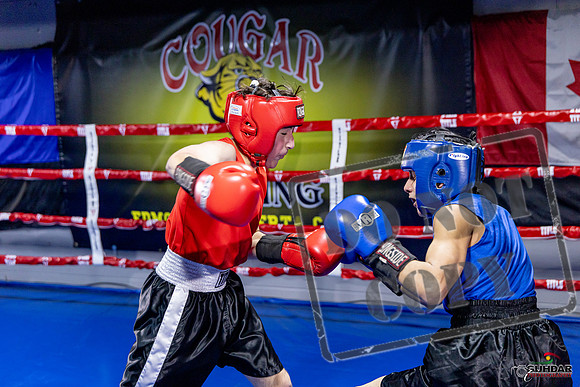 Cougar Boxing Basement Brawl. Dec 6 2025 -0162