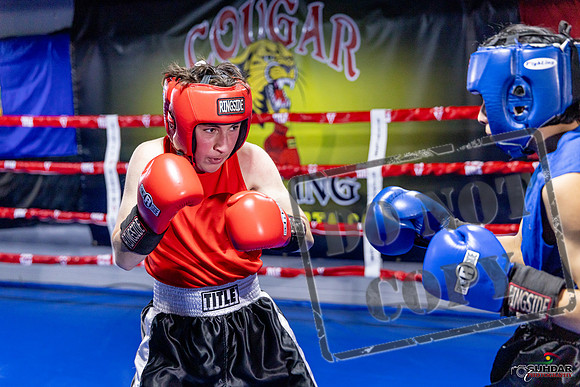 Cougar Boxing Basement Brawl. Dec 6 2025 -0164