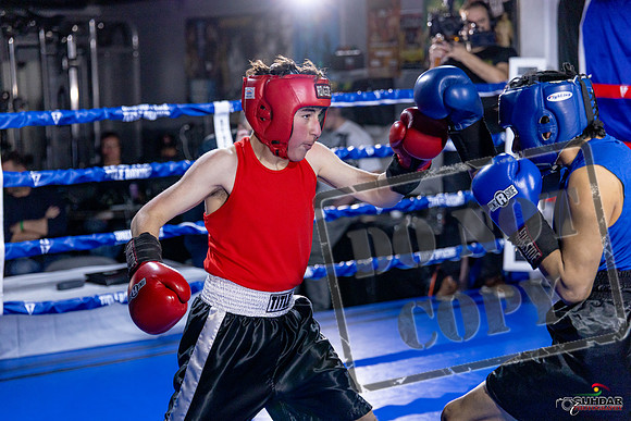 Cougar Boxing Basement Brawl. Dec 6 2025 -0172