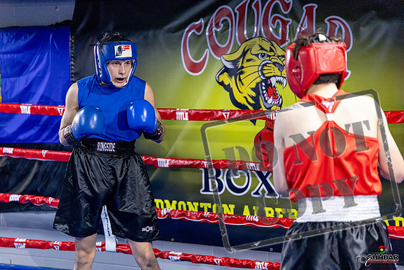 Cougar Boxing Basement Brawl. Dec 6 2025 -0176
