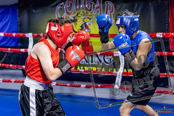 Cougar Boxing Basement Brawl. Dec 6 2025 -0199
