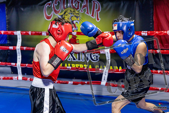 Cougar Boxing Basement Brawl. Dec 6 2025 -0201