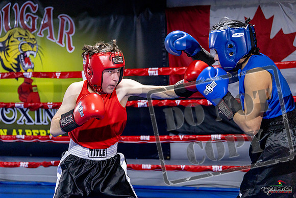 Cougar Boxing Basement Brawl. Dec 6 2025 -0204