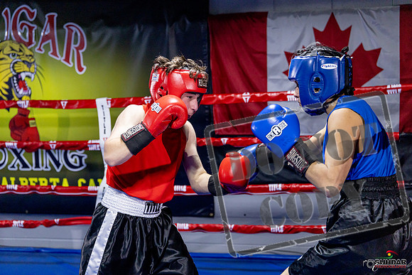 Cougar Boxing Basement Brawl. Dec 6 2025 -0206