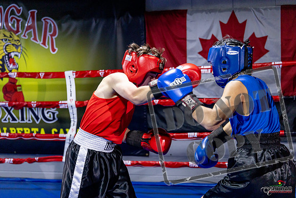 Cougar Boxing Basement Brawl. Dec 6 2025 -0207