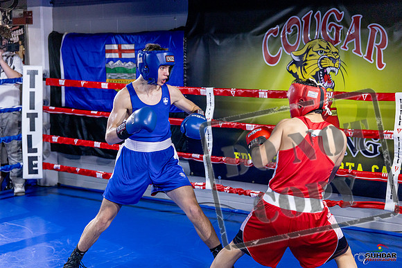 Cougar Boxing Basement Brawl. Dec 6 2025 -0234