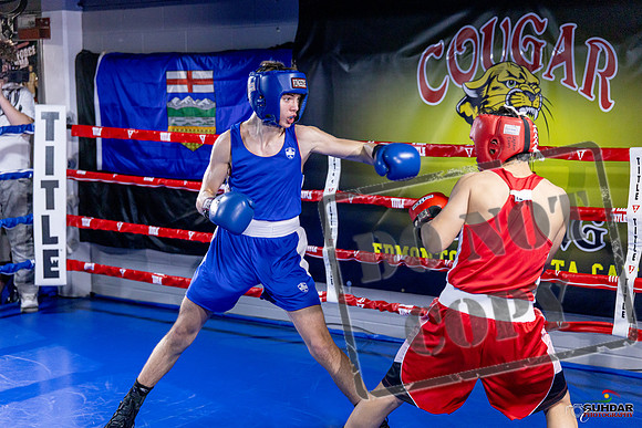 Cougar Boxing Basement Brawl. Dec 6 2025 -0235