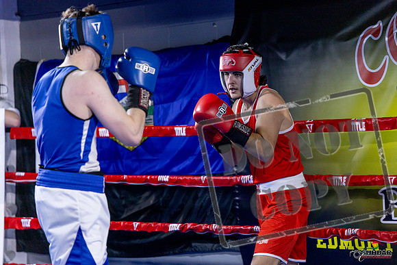 Cougar Boxing Basement Brawl. Dec 6 2025 -0338