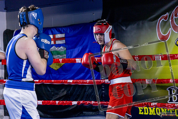 Cougar Boxing Basement Brawl. Dec 6 2025 -0337