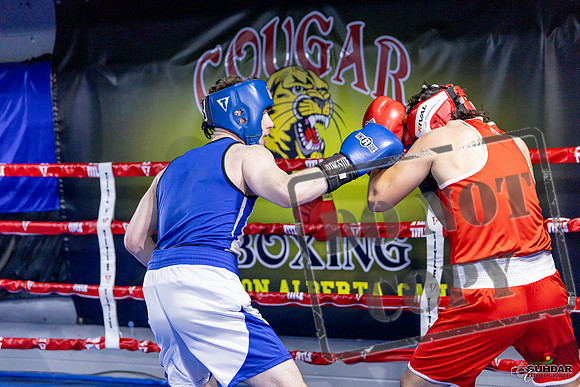 Cougar Boxing Basement Brawl. Dec 6 2025 -0367