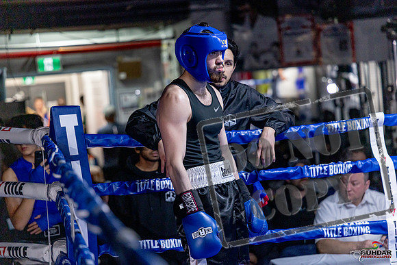 Cougar Boxing Basement Brawl. Dec 6 2025 -0385