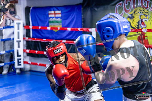 Cougar Boxing Basement Brawl. Dec 6 2025 -0392