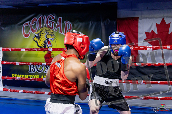 Cougar Boxing Basement Brawl. Dec 6 2025 -0396