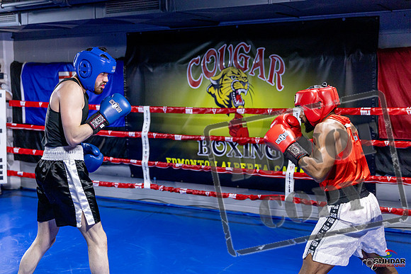 Cougar Boxing Basement Brawl. Dec 6 2025 -0397