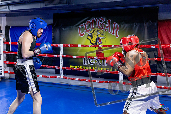 Cougar Boxing Basement Brawl. Dec 6 2025 -0398