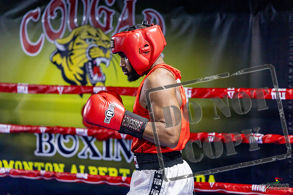 Cougar Boxing Basement Brawl. Dec 6 2025 -0402