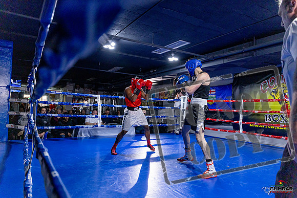 Cougar Boxing Basement Brawl. Dec 6 2025 -0412