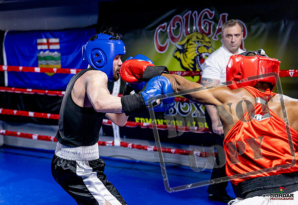 Cougar Boxing Basement Brawl. Dec 6 2025 -0431