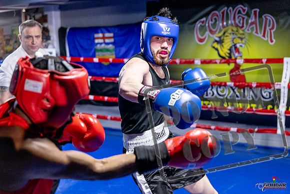Cougar Boxing Basement Brawl. Dec 6 2025 -0452