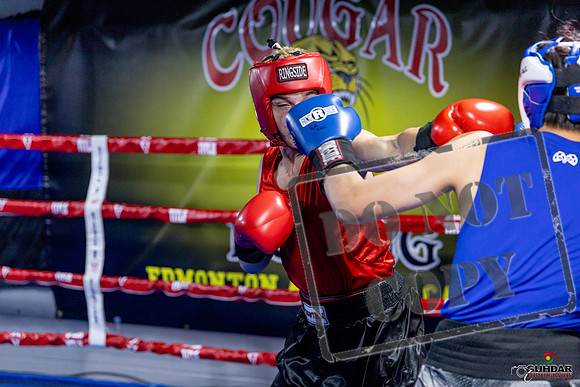Cougar Boxing Basement Brawl. Dec 6 2025 -0483