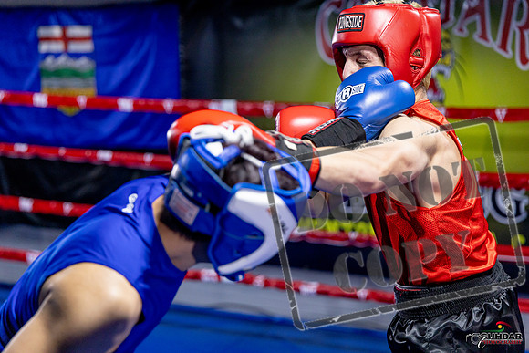 Cougar Boxing Basement Brawl. Dec 6 2025 -0485