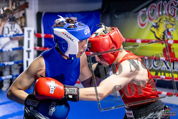 Cougar Boxing Basement Brawl. Dec 6 2025 -0487