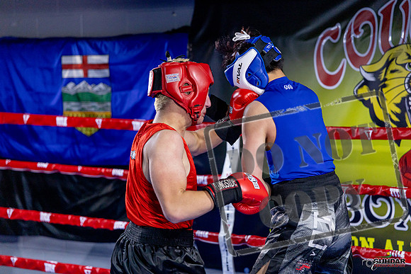 Cougar Boxing Basement Brawl. Dec 6 2025 -0502