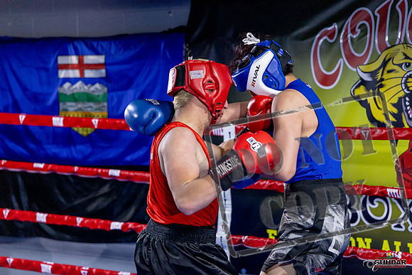 Cougar Boxing Basement Brawl. Dec 6 2025 -0503