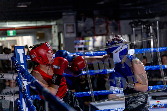 Cougar Boxing Basement Brawl. Dec 6 2025 -0515