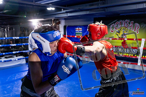 Cougar Boxing Basement Brawl. Dec 6 2025 -0529
