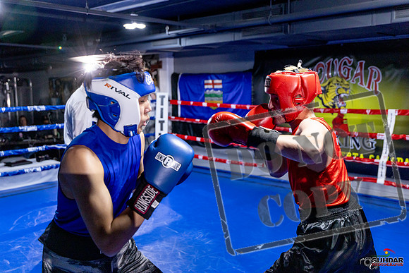 Cougar Boxing Basement Brawl. Dec 6 2025 -0528