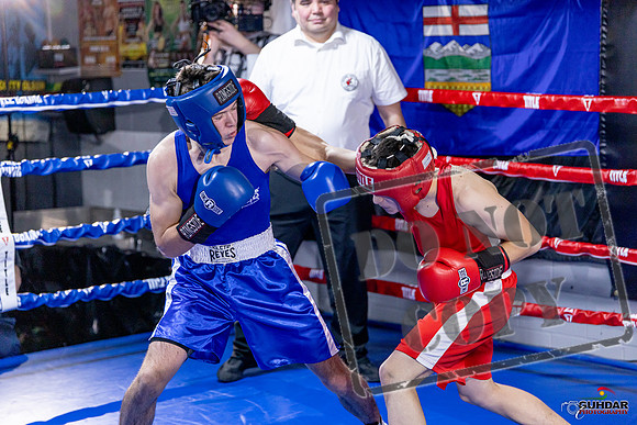 Cougar Boxing Basement Brawl. Dec 6 2025 -0550