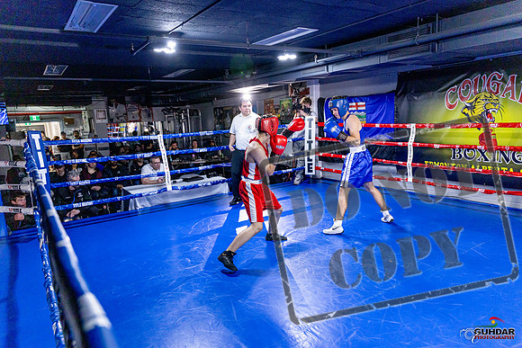 Cougar Boxing Basement Brawl. Dec 6 2025 -0558