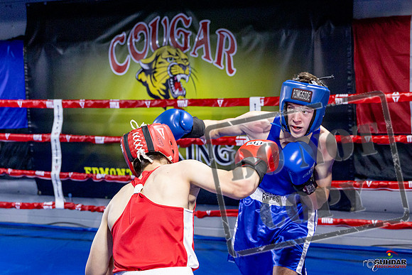 Cougar Boxing Basement Brawl. Dec 6 2025 -0566