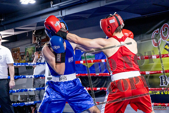 Cougar Boxing Basement Brawl. Dec 6 2025 -0601