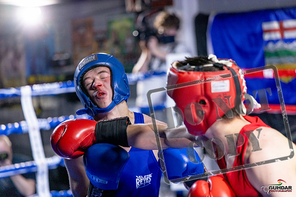 Cougar Boxing Basement Brawl. Dec 6 2025 -0632