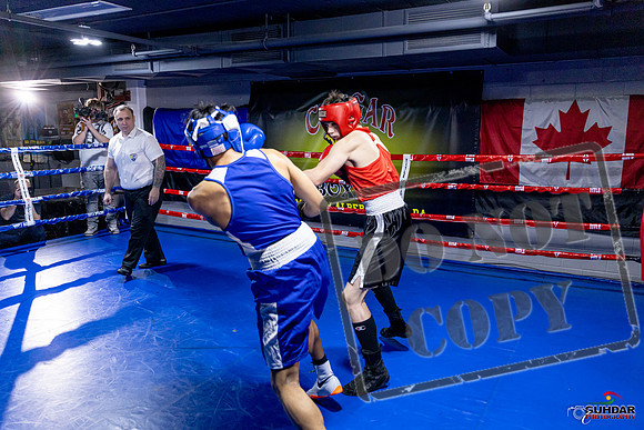 Cougar Boxing Basement Brawl. Dec 6 2025 -0645