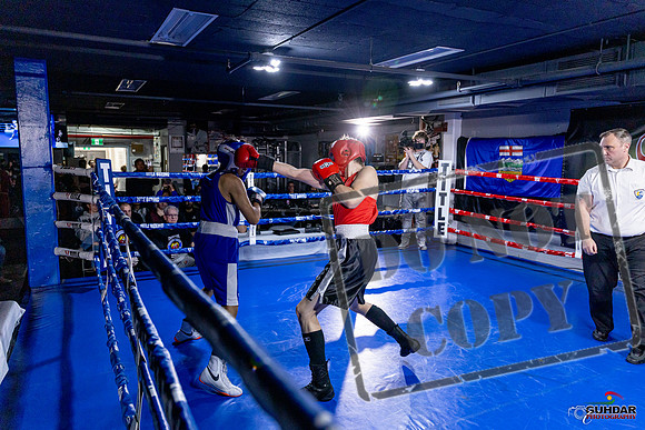 Cougar Boxing Basement Brawl. Dec 6 2025 -0648