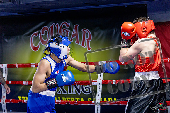 Cougar Boxing Basement Brawl. Dec 6 2025 -0673