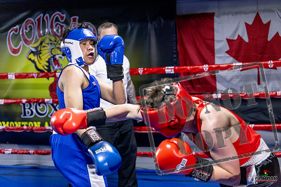 Cougar Boxing Basement Brawl. Dec 6 2025 -0675